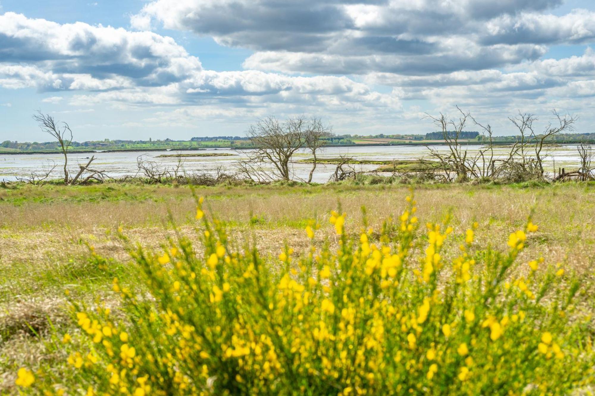 オールドバラ Marsh Viewヴィラ エクステリア 写真